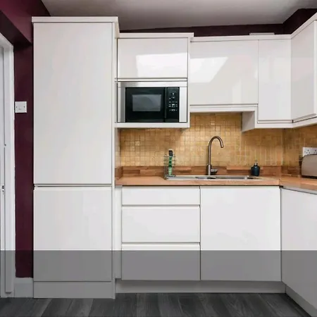 Central Victorian Townhouse 公寓 都柏林